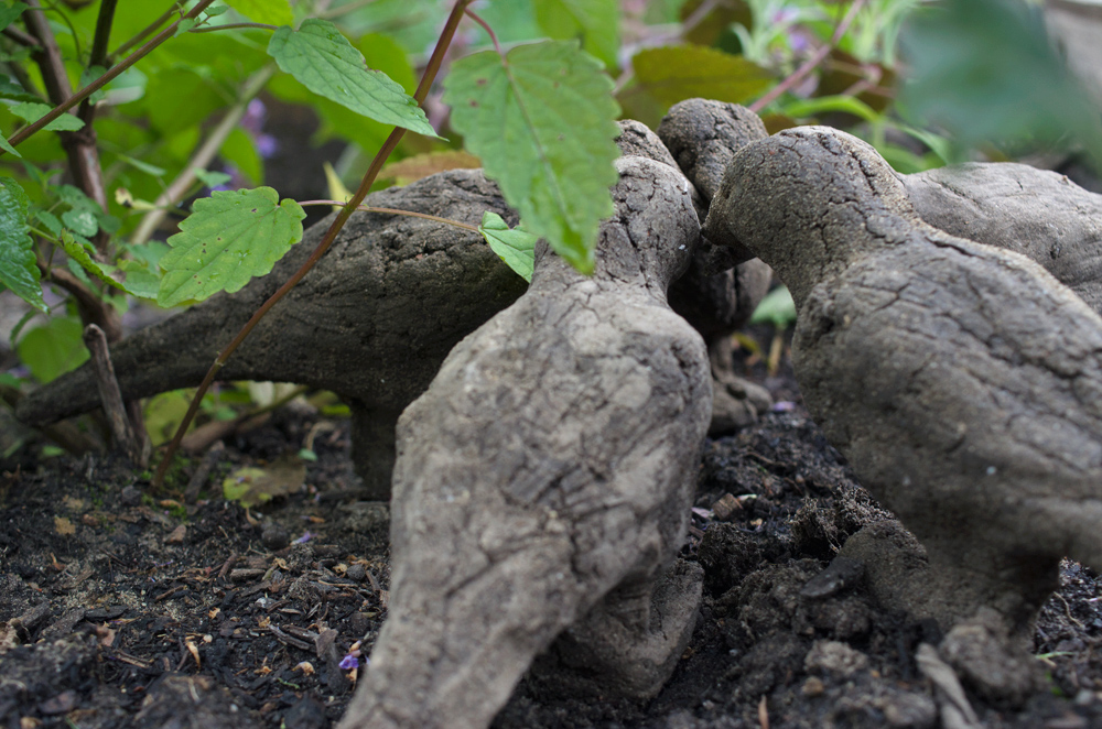 2017-09-09_IGP6823-Kopie