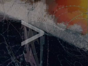 Award Winning Video Installation