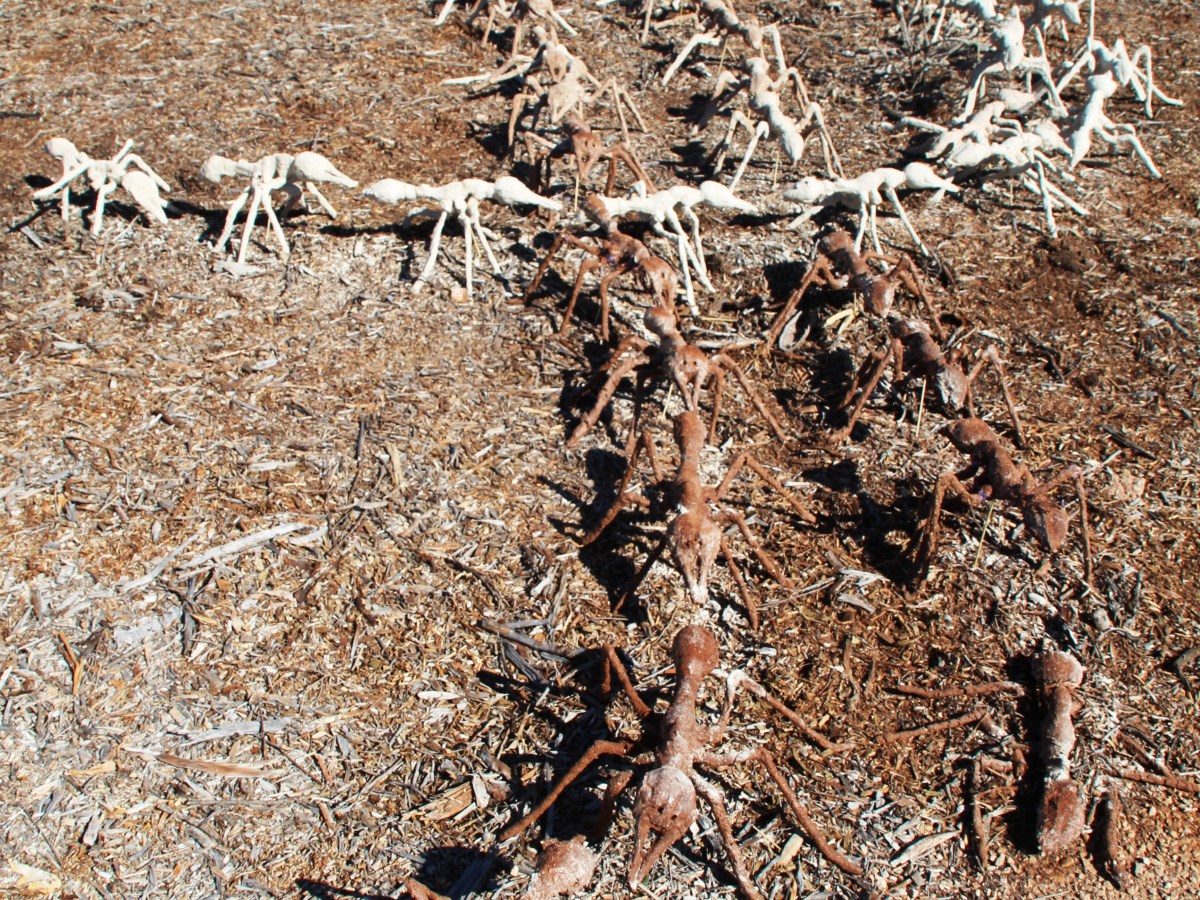 ‘$Edge’ 2014, Bioplastic and Sand Installation Documentation&nbsp;Video