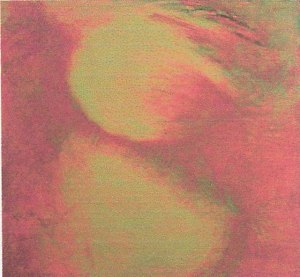 Acrylic on Canvas 120*120cm National Art Gallery of Namibia Collection Student Work