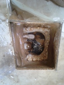 Photo: Kirsten Wechslberger