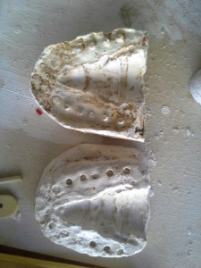 The mould - Father Christmas