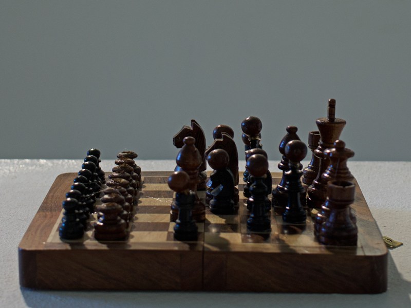 ‘Lions Replaced by Fat Cats’, as part of ‘It’s Raining Cats and Dogs’ Exhibition, National Art Gallery of&nbsp;Namibia