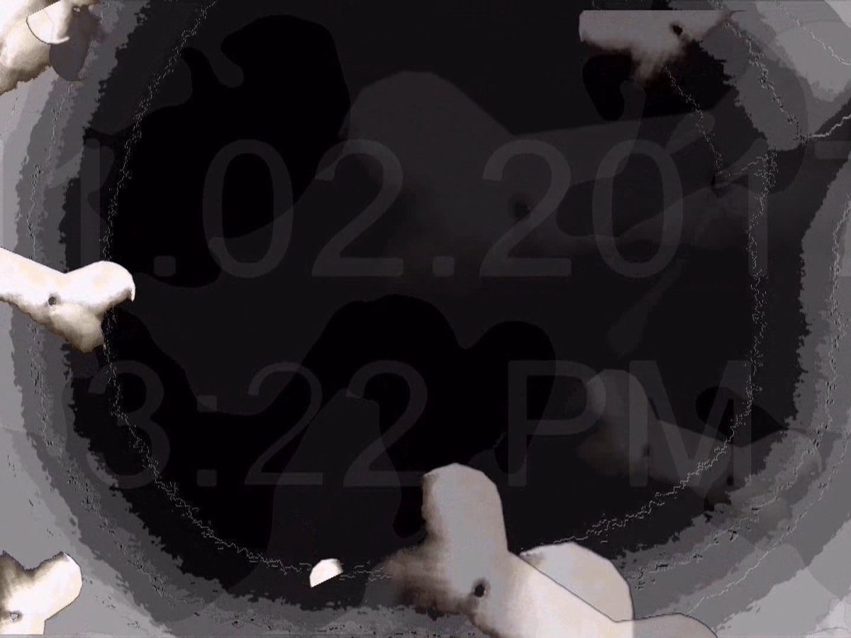 ‘Treat’, as part of ‘It’s Raining Cats and Dogs’ Exhibition, National Art Gallery of&nbsp;Namibia