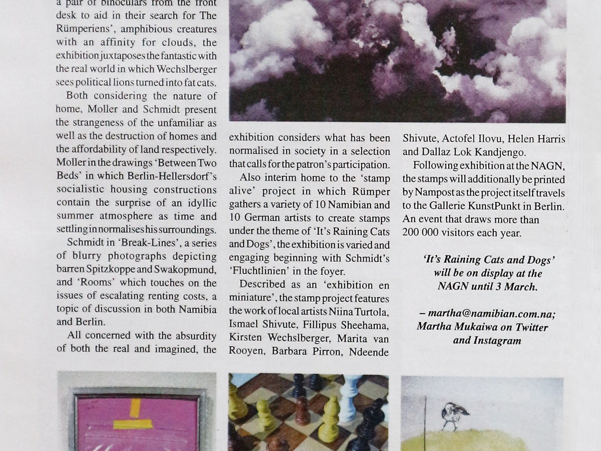 Article: The Namibian Newspaper ‘It’s Raining Cats and Dogs’ Exhibition&nbsp;16.02.2018
