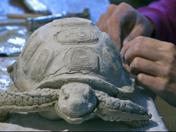 Video of Production of Prototype Tortoise Latex and Plaster&nbsp;Mould