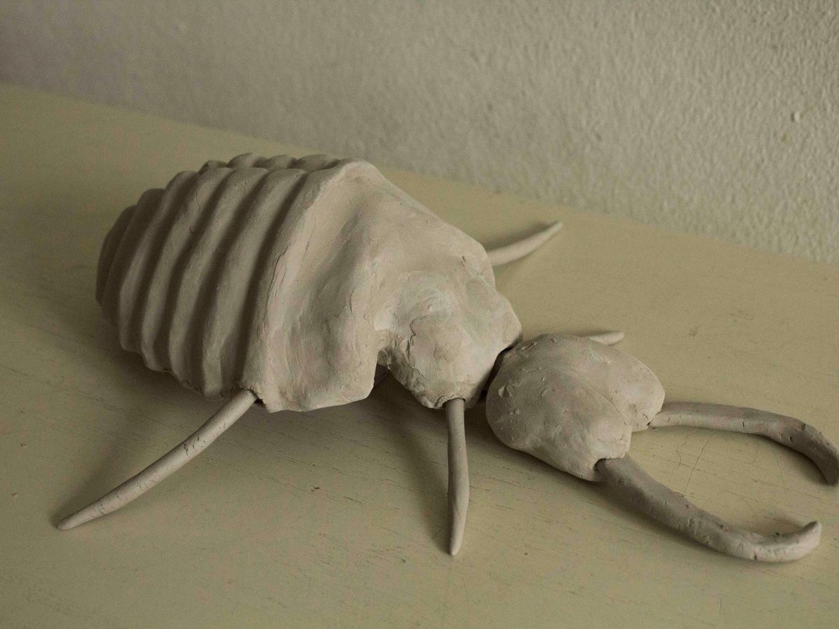 Video of Production of Clay Ant Lion&nbsp;Prototype
