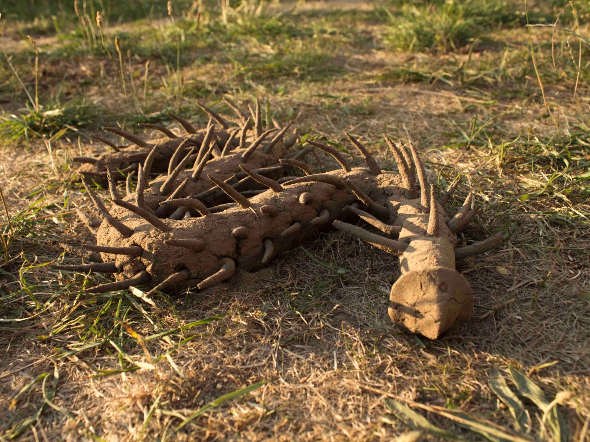 Video of Bristle Worm Mould&nbsp;Making