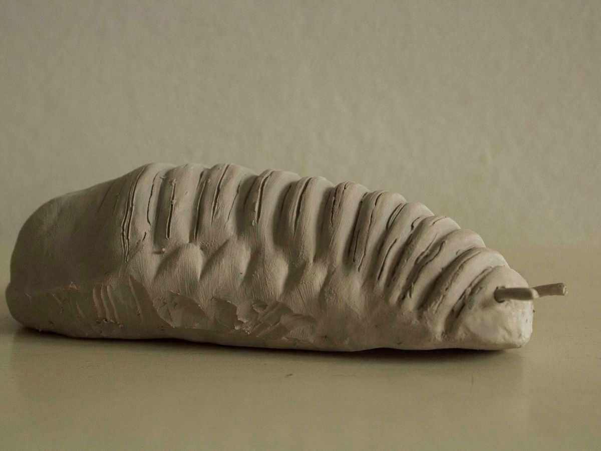 Video of Production of Chafer Grub&nbsp;Protoype