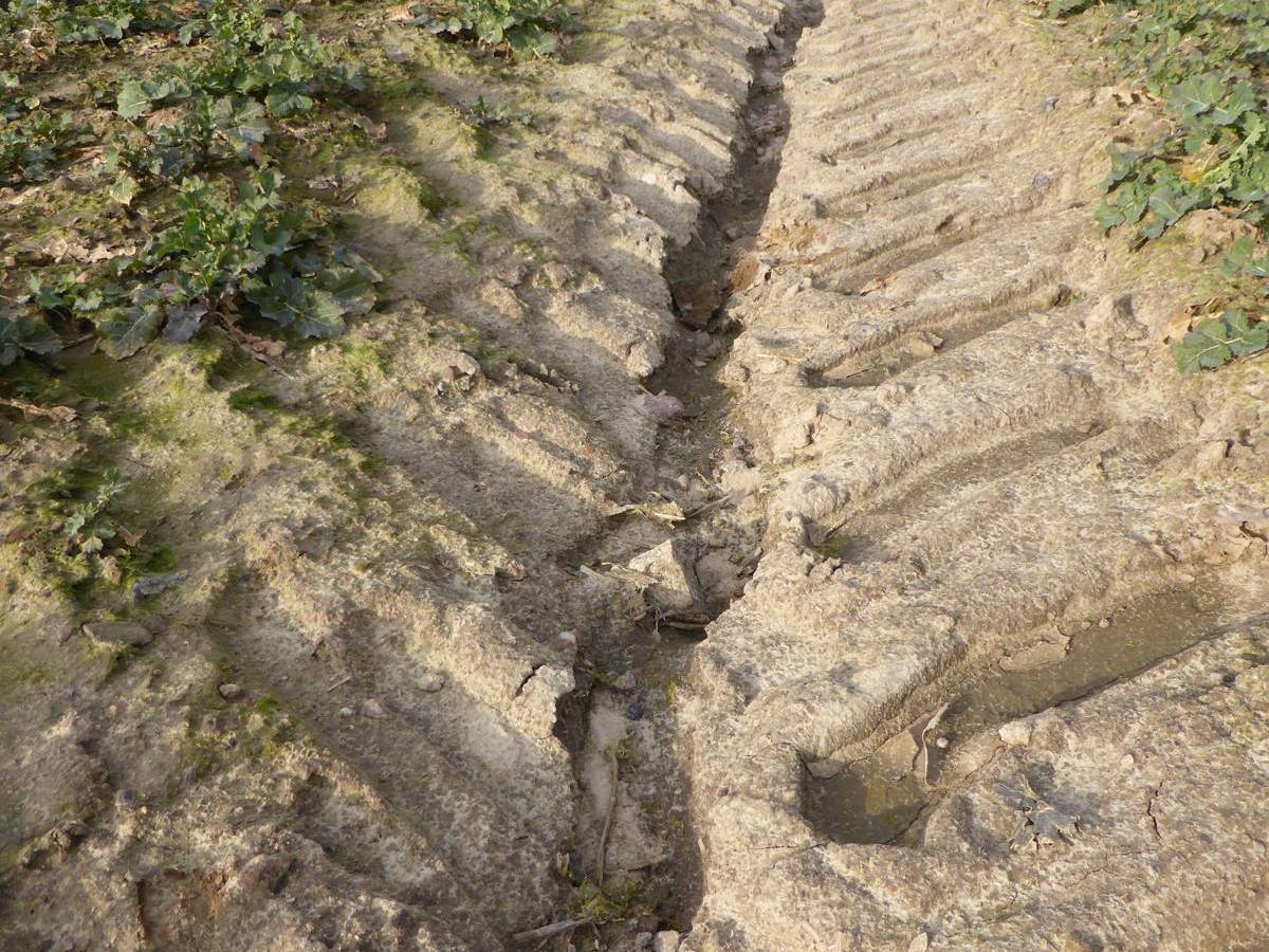 ‘The Soil We Live of’ Group Exhibition&nbsp;Opening