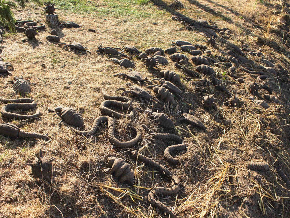 Short Video Documentation ‘The Soil We Live of’ – no&nbsp;sound