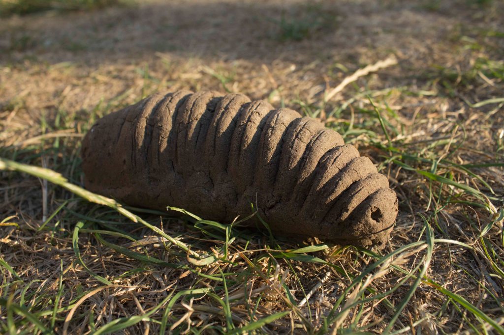 Bioplastic and Sand Sculpture