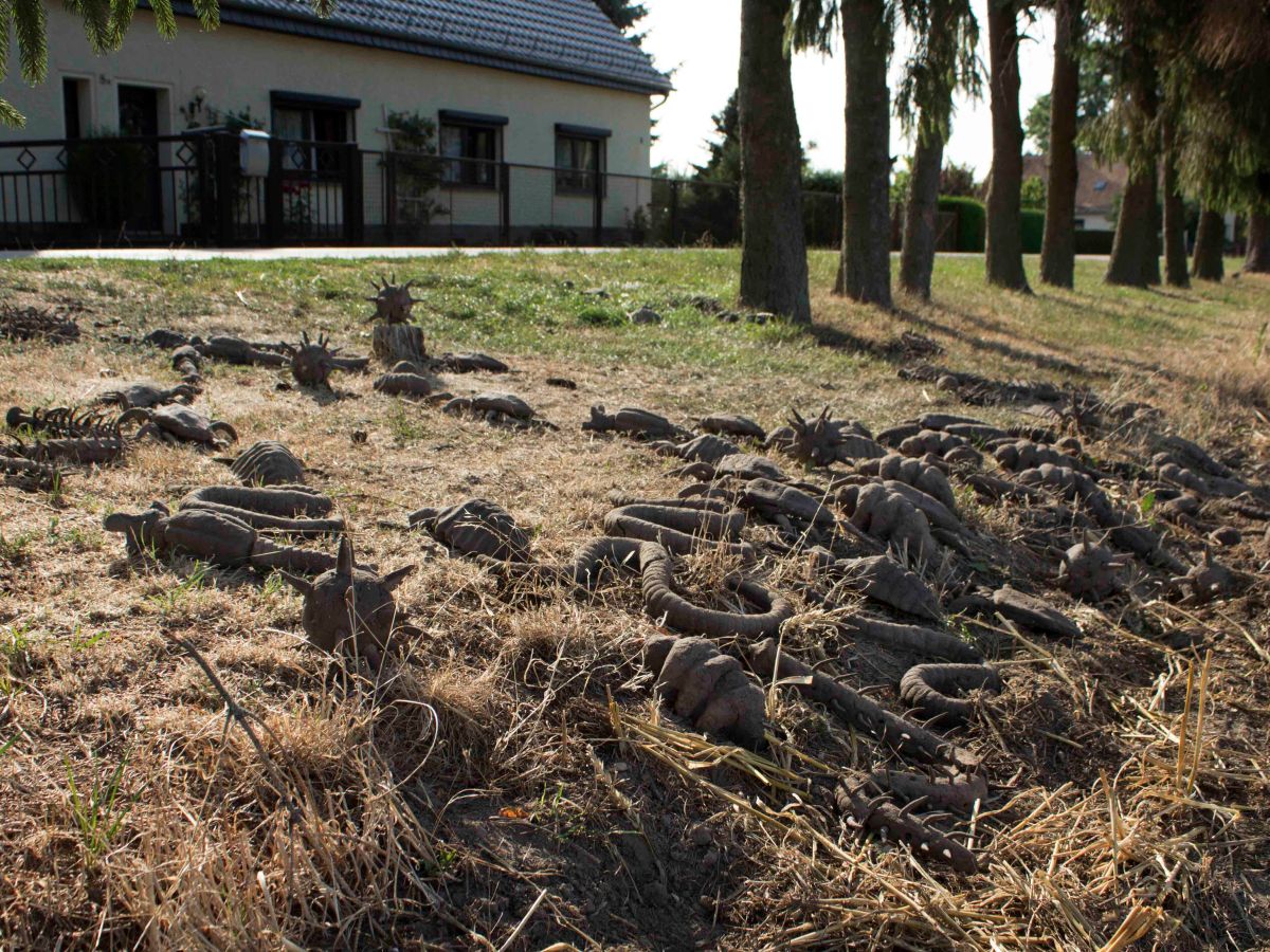 Site-Specific Installation ‘Minaminals III’ The Soil we Live&nbsp;of