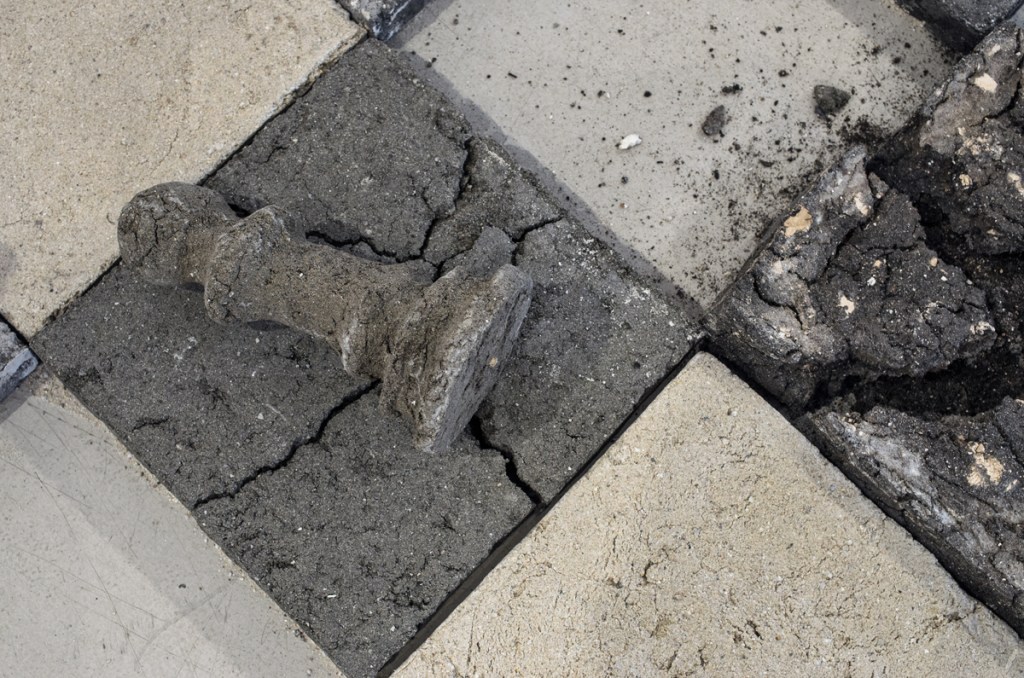 Photo: Sascha J. Bachmann