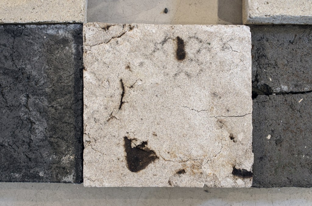 Photo: Sascha J. Bachmann