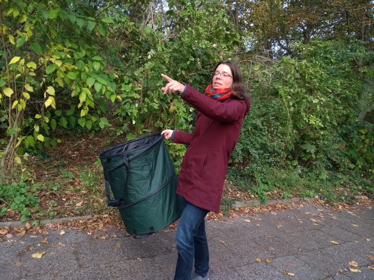 Artwork Production Video – collecting the leaves for project ‘Minaminals IV’